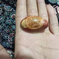 سنگ قیمتی|کلکسیون اشیاء عتیقه|تربتحیدریه, پائین ولایت|دیوار