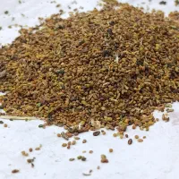 بذر یونجه|خدمات باغبانی و درختکاری|سیمینه, |دیوار