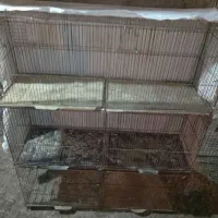 قفس جوجه پرون|لوازم جانبی حیوانات|بندرعباس, |دیوار