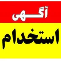 کار برای خانم ها در خانه با موبایل