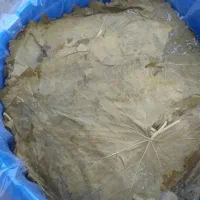 برگ مو شور عمده خرده|خوردنی و آشامیدنی|تهران, شوش|دیوار
