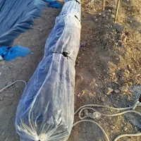 توپ کامل موکت استخر