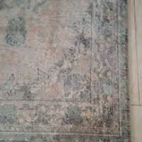 فرش|فرش|رشت, ساغری سازان|دیوار