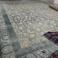 قالی ۱۲رمتری