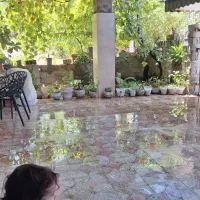 اجاره آپارتمان|اجارهٔ خانه و ویلا|چالوس, |دیوار