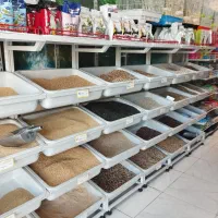 قفس لوازم پرنده|لوازم جانبی حیوانات|قم, پردیسان|دیوار