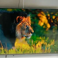 تلویزیون 65 دوو اقساط (طالقانی اراک)