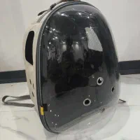 کیف حمل حیوانات