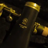 Yamaha ycl 255|سازهای بادی|تهران, فلسطین (میدان انقلاب)|دیوار