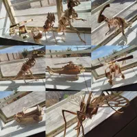 حراج|حراج|بردسیر, |دیوار