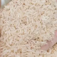 میانباری طارم محلی درشته درشت