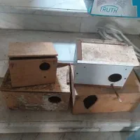 لانه طوطی و مرغ عشق|لوازم جانبی حیوانات|قائم‌شهر, |دیوار