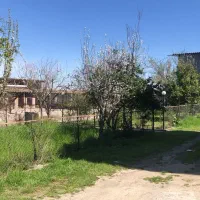 فروش واحد دامداری صنعتی ۲۳۲۱ متری با بنا|فروش دفتر صنعتی، کشاورزی، تجاری|نوکنده, |دیوار