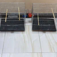 قفس پرنده فروش فوری