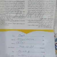 سگ ماده پامر روباهی شناسنامه دار|سگ|رشت, پل تالشان|دیوار