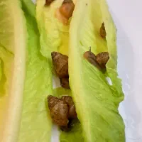 حلزون آچاتینا (فروش فوق العاده)|خزنده|تهران, دبستان|دیوار