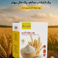 قاب نیه/ پودر جوانه گندم بین استار (دکتر بیز)
