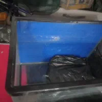 آکواریم|ماهی|قزوین, |دیوار