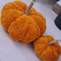 کدوی تزیئنی|صنایع دستی و سایر لوازم تزئینی|زنجان, |دیوار