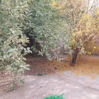 اجاره سوییت(حیاط دار) روزانه(ماهان)|اجارهٔ کوتاه‌مدت آپارتمان و سوئیت|ماهان, |دیوار