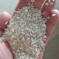 فروش برنج عنبر بو|خوردنی و آشامیدنی|اهواز, نادری|دیوار