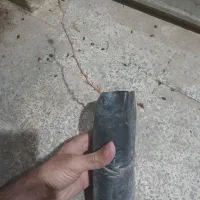 نهال انگور موندراپ متوسط|گل و گیاه طبیعی|شیراز, دانشکده کشاورزی دانشگاه شیراز|دیوار