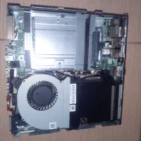 انوع کیس کوچک (ناینی)