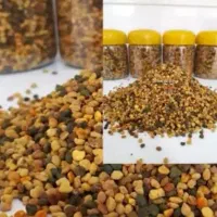 عسل|خوردنی و آشامیدنی|سهند, |دیوار