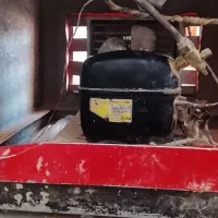 یخچال|فروشگاه و مغازه|زابل, |دیوار