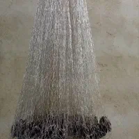 ماشک یا سالی