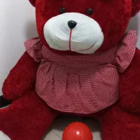 خرس ولنتاین