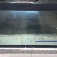 اکواریوم شیشه ده میل