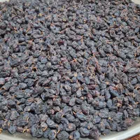 مویز سیاه|خوردنی و آشامیدنی|شیراز, شهرک فرهنگیان|دیوار
