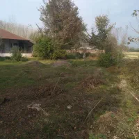 زمین مسکونی در سنگر با پروانه|فروش زمین و ملک کلنگی|رشت, کاکتوس|دیوار