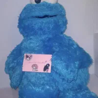 پولشی کوکیمانستر