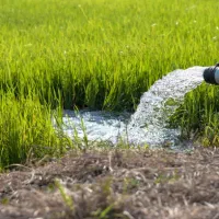 تخصیص-امتیاز-چاه-کشاورزی-و-گلخانه