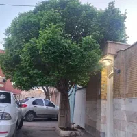 خانه-ویلایی-شمالی-دوطبقه-162-متر-55متری-عماریاسر