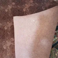 موکت ۱۰ متری|موکت|کرج, خرمدشت|دیوار