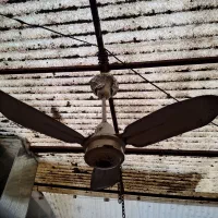 پنکه سقفی تمام فلز cros