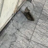 اجاره پارکینگ و مغازه