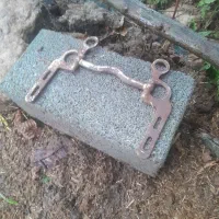 دهنه