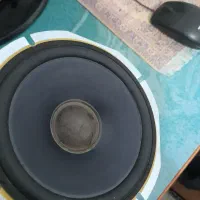 باند