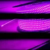 ریسه شلنگی آبی و بنفش