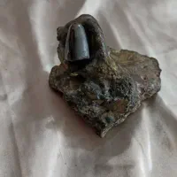 جواهرات