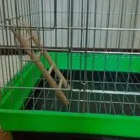 قفس|لوازم جانبی حیوانات|هشتگرد, شهرک بوستان|دیوار