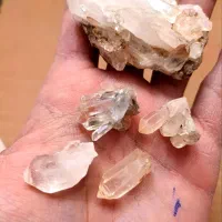 دُر کوهی|کلکسیون و سرگرمی|زاهدان, |دیوار