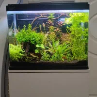 فروش آکواریوم کامل