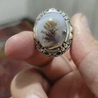 انگشترشجر رکاب هما