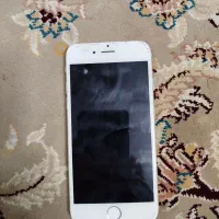 آیفون 6معلولی