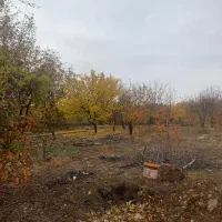 باغ ۳۴۰۰ متری در منطقه آرده|فروش زمین و ملک کلنگی|هشتگرد, اردهه|دیوار